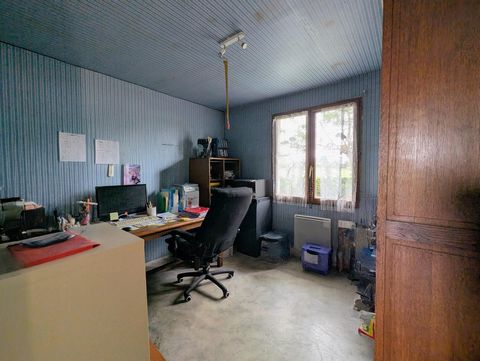 photo no. 2
