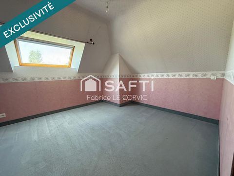 photo no. 11