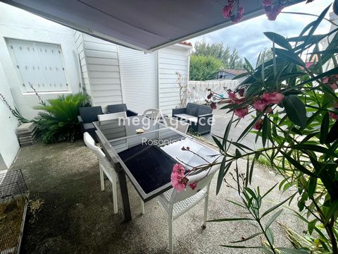photo no. 12