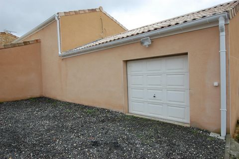 photo no. 11