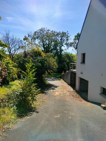 photo no. 11