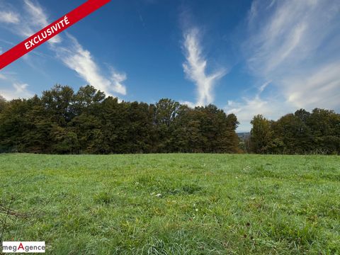 Beau terrain plat de 1637 m² à 15 minutes de Brive et Tulle