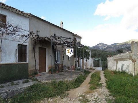 Drive down a track through olive groves until you find a little cluster of houses surrounded by nature and olive trees. Not lived in, this middle cottage is like stepping back in time, cement floors, wooden beams and lots of original features and cha...