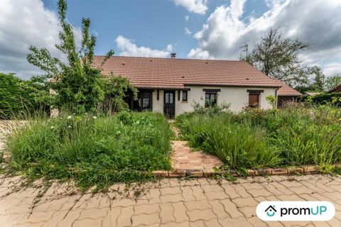 Discover this magnificent traditional single-storey house of 203 m2, located in Saint-Éloy-de-Gy. On a spacious plot of 1650m2, this property offers an ideal setting to enjoy nature and the peaceful environment of the area. With its 9 rooms, 5 bedroo...