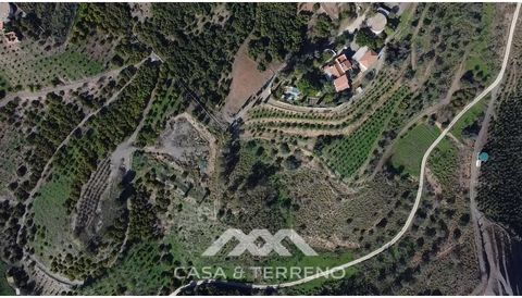 This is THE chance to acquire a charming Spanish finca, which exudes the typical Andalusian charm and offers an incomparable view of the Mediterranean Sea. A large two-story building (warehouse) serves mainly as a garage for the vehicles and machiner...