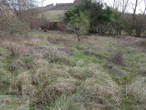 TARN (81) For sale three minutes from Cordes sur ciel, building land with CU of approximately 1600m². Close to Cordes, this land is almost flat, in a peaceful environment. Fees including VAT charged to the seller Information on the risks to which thi...