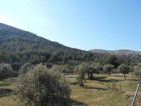 Property Code. 1561 - Agricultural FOR SALE in Thasos Theologos for €350.000. Discover the features of this 7485 sq. m. Agricultural: distance from sea 2000 meters Parcel of 7485 sq.m. on the way to Theologos village Thassos, buildable in distance 20...