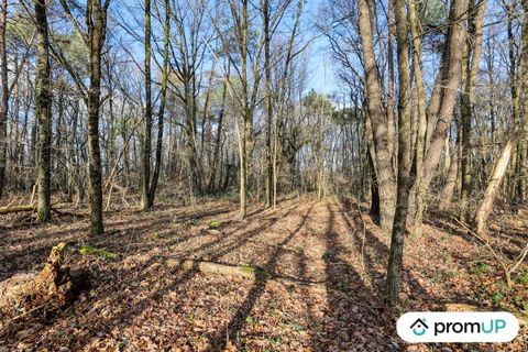 Welcome to you, lovers of nature and green spaces! We present you with a unique opportunity to own an exceptional plot of land in CHÂTILLON-SUR-CHER. This 770 m2 forest-like recreational area is the ideal place to escape the hectic life of the city. ...