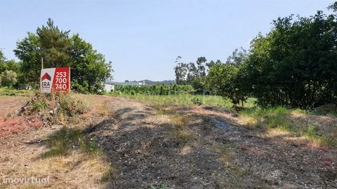 Land with 4,430 m2 in Cabeceiras de Basto Land with 4,430 m2, all plan with good access and good sun exposure. It has water, great for cultivation. Buy with ERA Fafe ERA Fafe opened its doors in 2005 and built an upward path that is now recognized by...