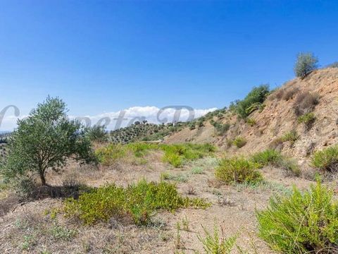 This plot measures approximately 3,500m2. It is located above the villages of Archez and Canillas de Albaida, it is approximately 25 minutes drive from the coast and an hour from Málaga airport. From the plot there are sweeping views of the surround...