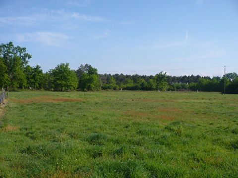 Land in a pleasant setting near the Ozièrres, in the town of YZEURE: serviced land (water, edf) to build with a surface of about 1700m2. Individual sanitation. Fees charged to the seller