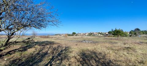 Seize a great real estate opportunity with this well-sized land on the territory of La Redorte. You can exploit a surface of 1941m2 to imagine your new house. As for the selling price, it amounts to € 108,000. If you wish to organize a visit of this ...