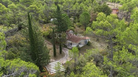 JCG Immo vous fait découvrir cette charmante maison de plain-pied, nichée dans un écrin de verdure, idéal pour les amoureux de la nature et de la tranquillité. L'intérieur chaleureux comprend : une pièce de vie avec cheminée, cuisine ouverte, 2 chamb...