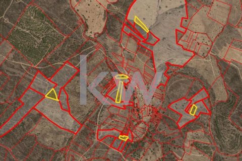 Ensemble de 6 terrains rustiques d'une superficie totale de 10100m2 à proximité de Martim Longo. Le terrain a des superficies individuelles de 2000m2, 2400m2, 1100m2, 2460m2, 1280m2 et 860m2. Les terrains ne sont pas adjacents et n'ont pas tous un ac...