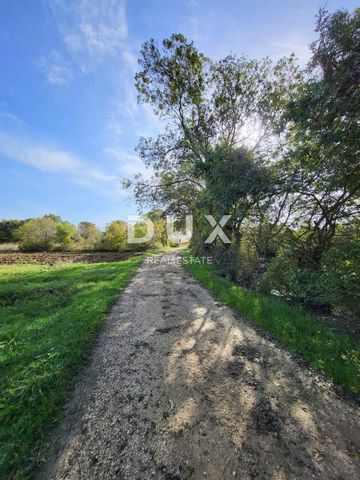 POLIČNIK, ZADAR - Landbouwgrond met een bron van drinkwater Landbouwgrond te koop - Poličnik, Zadar! Een aantrekkelijk landbouwperceel van 4.000 m² staat te koop, gelegen in de rustige en natuurlijke omgeving van Poličnik, op slechts 15 minuten rijde...