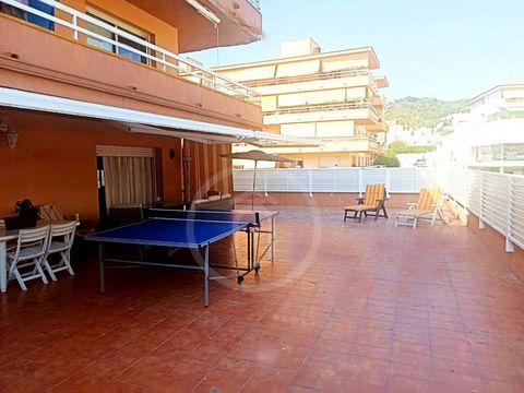 ARA GROUP REAL ESTATE-Tossa de Mar-Costa Brava-Girona.- Wij presenteren dit prachtige zeer zonnige appartement met een spectaculair terras in Tossa de Mar. Dit fantastische appartement heeft een inkomhal, lichte woonkamer met toegang tot het terras, ...