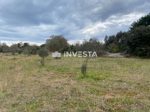 Location: Istarska županija, Fažana, Fažana. Zum Verkauf steht ein 2400 m² großer Olivenhain mit alten und jungen Olivenbäumen, gelegen in Fažana. Für weitere Informationen können Sie uns gerne kontaktieren. ID CODE: 573 Đankarlo Čekić Mob: +385 99 2...