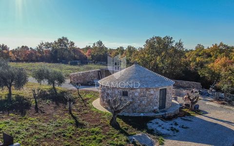 Location: Istarska županija, Bale, Bale. Istria, Rovigno, Dintorni, Vivete il paradiso istriano sulla Terra con il nostro uliveto consolidato, situato nella natura incontaminata nei pressi di Rovigno e Bale. Questa zona eccezionale emana un'oasi paci...