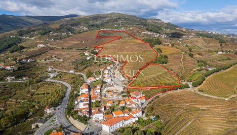 Fantastique quinta dans la région viticole du Haut-Douro, vallée du Douro , située à Mesão Frio, en bordure du centre historique de cette belle ville dont l'histoire séculaire est l'un des plus grands témoignages de la plus ancienne région viticole d...