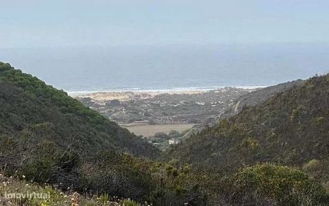 Einzigartiges Anwesen im Herzen des Naturparks Rustikales Grundstück in Carrapateira mit einer Fläche von 47 ha. Es gibt Korkeichen und Busch und Ackerbau. Ideal für forstwirtschaftliche Projekte. Meerblick nur zehn Autominuten vom Strand entfernt. B...