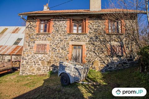 À vendre, belle maison en briques de 60 m², parfaite pour un investissement locatif ou une résidence secondaire. Située à proximité de Pailherols, un charmant village auvergnat, cette propriété bénéficie d'un environnement naturel exceptionnel, au cœ...