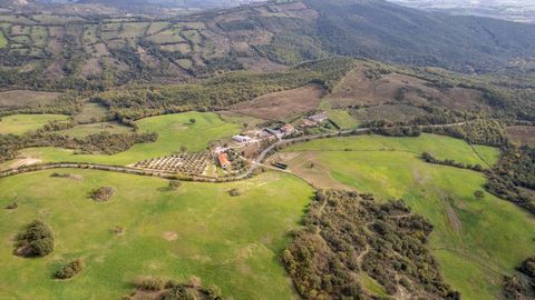 Strada Provinciale Ragnaie, Scansano On the green hills and in the heart of Maremma, this farm surrounded by a lush park and olive grove is for sale in the Case Sparse Poderuccio area, in the municipality of Scansano. The property is spread over sepa...