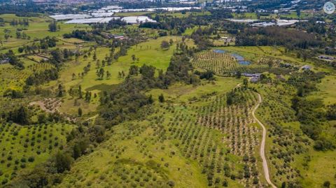 Con un área de 2.292 m2, hermoso lote en la vía San Antonio la Ceja, Sector el Yarumo, rodeado de una reserva natural con una topografía y vista que enamora. Condominio con diversas zonas comunes como: juegos infantiles, cancha de futbol, senderos ec...