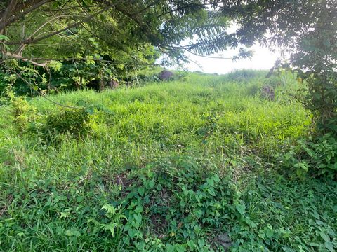 Céline MARIE-LUCE vous propose dans la commune du Lamentin, quartier Roches Carrées, dans un environnement calme et verdoyant une parcelle d'une superficie de 493.16 m2. Cette parcelle provient d'un terrain divisé en 11 lots actuellement en vente et ...