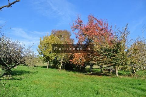 Vous rêvez de construire votre maison dans un cadre exceptionnel? Ne cherchez plus ! Situé sur les hauteurs de Beaupuy, ce terrain vous offre une vue dégagée et allie tranquillité et sérénité .À quelques minutes seulement des commodités et des commer...