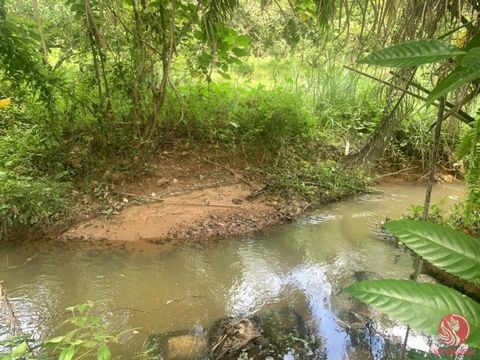 400 mètres carrés de terrain à côté du canal avec vue sur la montagne est à vendre à Takua Thung, Phang Nga. Le terrain est situé sur une Chanote. Ce terrain est sur une voie publique avec accès à l’eau et à l’électricité. La largeur et la longueur d...