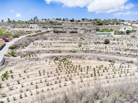 Discover a unique opportunity to acquire a piece of picturesque land between Teulada and Moraira. This beautiful piece of land, currently a thriving vineyard, offers stunning open views and ample space to build your dream estate. The sprawling proper...