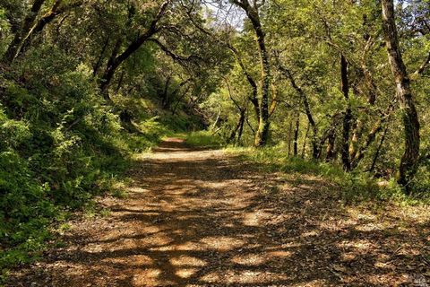 Own a section of the top of historic Fitch Mountain. This 15.05 acre property provides tremendous privacy screening or could be thinned to provide spectacular views of the vineyards of Alexander Valley, the Russian River, and the Mayacama Mountains t...