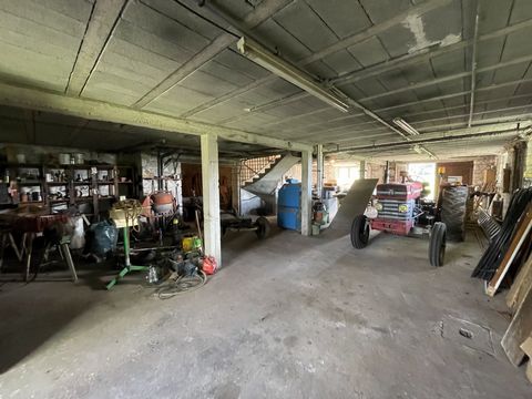 photo no. 9