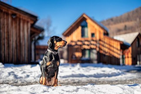 Bienvenue dans votre escapade alpine idéale au Kreischberg Holiday Park by ALPS RESORTS. Ce chalet spacieux de 70 m² offre un hébergement confortable pour 2 à 8 personnes, ce qui le rend idéal pour les familles ou les groupes qui recherchent à la foi...