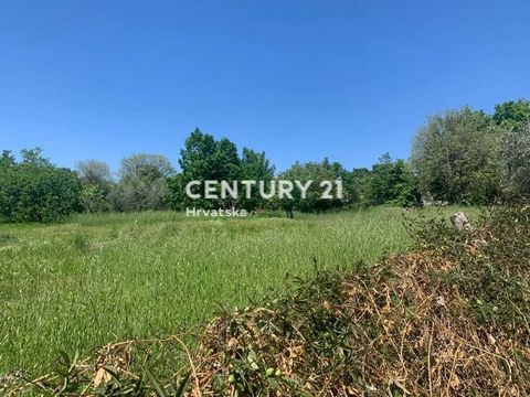 POREČ, KASTELIR, BOUWGROND Op een goede locatie nabij het centrum van Kaštelir verkopen wij een bouwkavel voor residentieel gebruik met een oppervlakte van 851 m2. Infrastructuur in de buurt. Het terrein ligt op een verhoogde locatie, gericht op de z...