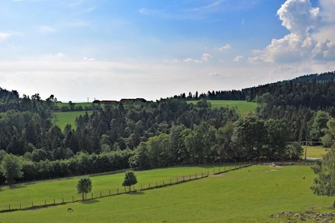 Zwischen den Luftkurorten Waldkirchen und Hauzenberg, mit herrlichem Panoramablick bis in das Alpenland, liegt diese großzügige und komfortabel eingerichtete Ferienwohnung. Genießen Sie den Panoramablick vom Balkon oder der Terrasse oder nutzen Sie d...