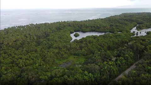 Prime en premium land voor toeristische ontwikkeling van 1.900.000 m2. Alles wordt verkocht, voor slechts 14 dollar per m2. Alleen voor gekwalificeerde ontwikkelaars wordt commerciële grond met 1 kilometer strand verkocht. Unieke kans om deze waarde ...