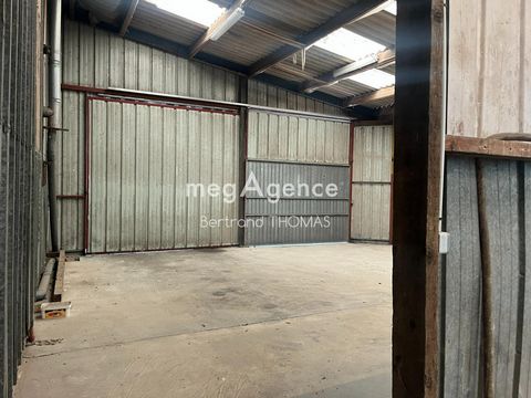 photo no. 10