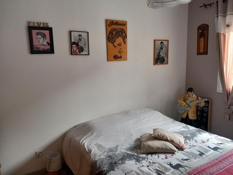 photo no. 8