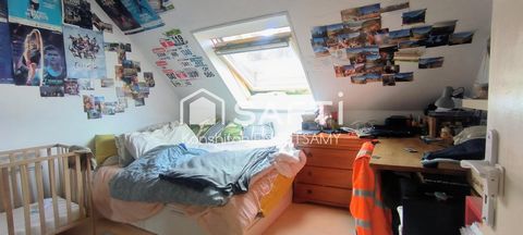 photo no. 11