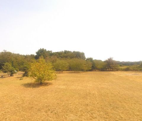 photo no. 4