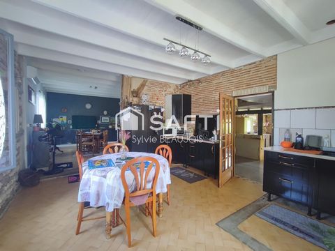 photo no. 4