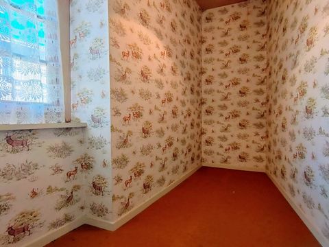 photo no. 11
