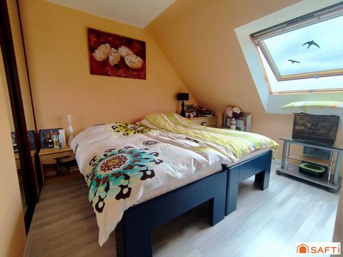 photo no. 4