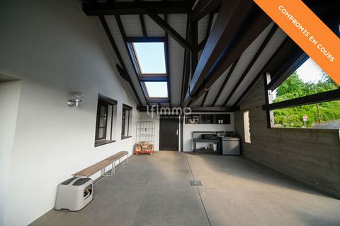 photo no. 19