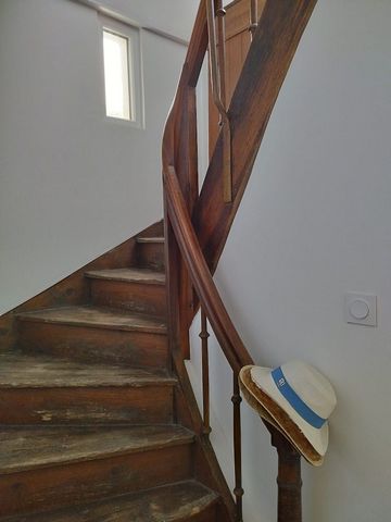photo no. 6