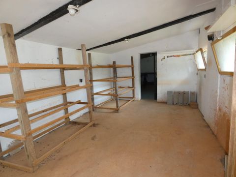 photo no. 11