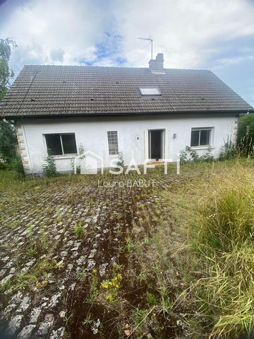 photo no. 11