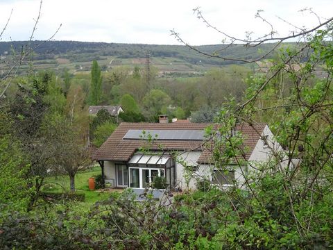 photo no. 10