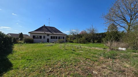 Maison individuelle, jardin, sous-sol complet